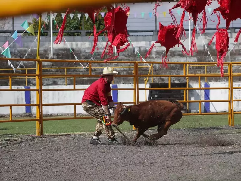 america-express-editia-7