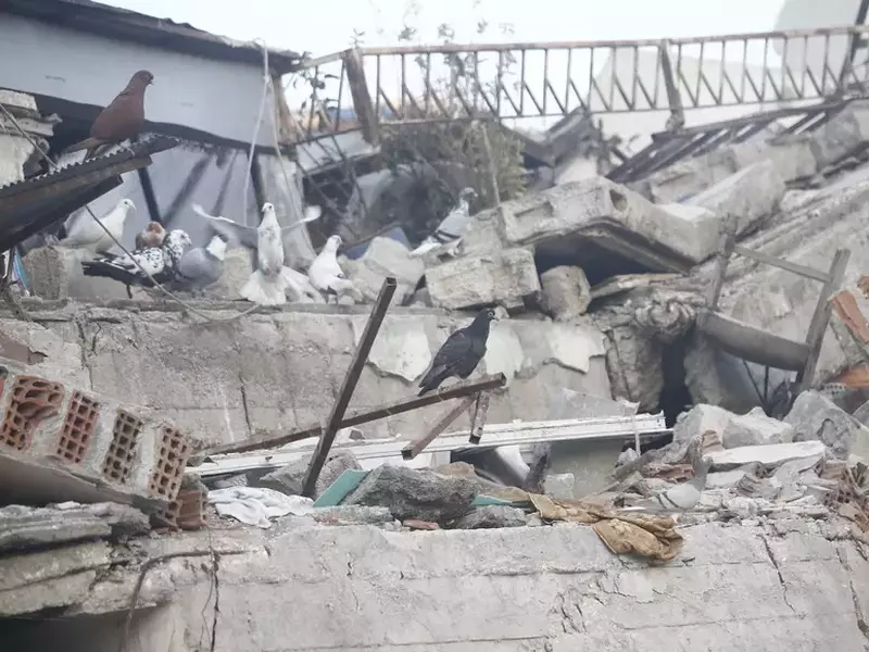 Earthquakes aftermath in Turkiye’s Hatay