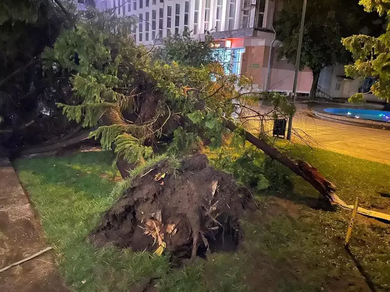 3572288359512740061773291548972021328068012n