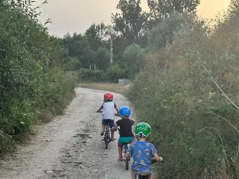 copiii-adelei-popescu-2