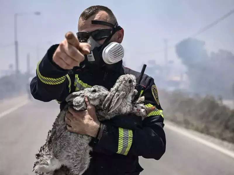 pompier roman rodos profimedia