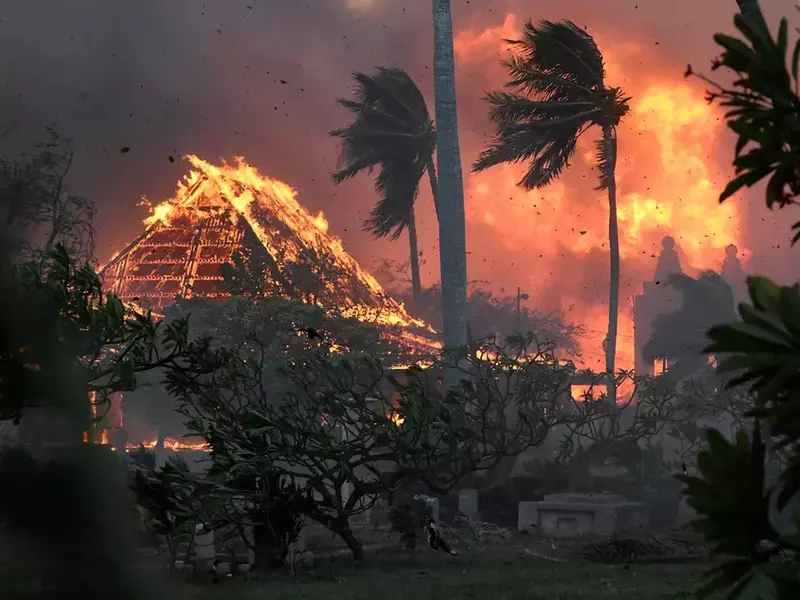 Hawaii Fires