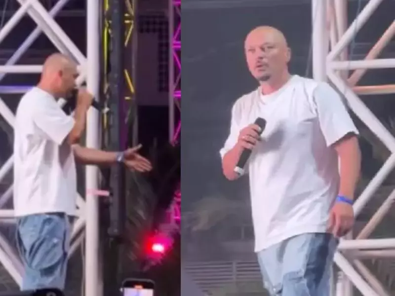 Puya concert Costinești