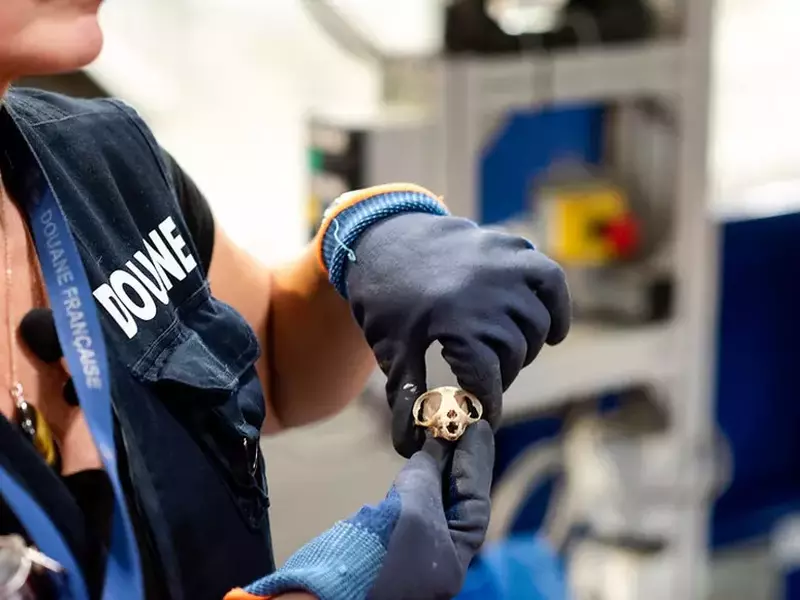 532012992651caeac2238c