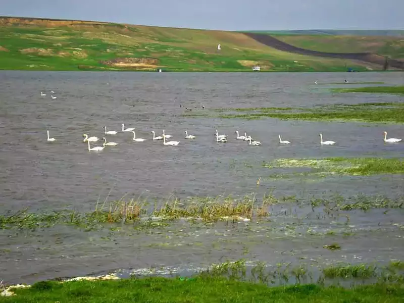 11040847_1629153250649560_2869236583589944834_n