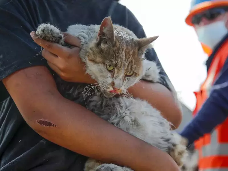 profimedia-0843719530