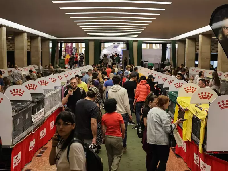 4359291828233829557844455659582690910669686n