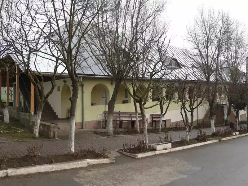 dumbrava-sursa-de-iubire-si-energie-pentru-sute-de-copii-si-varstnici-259310