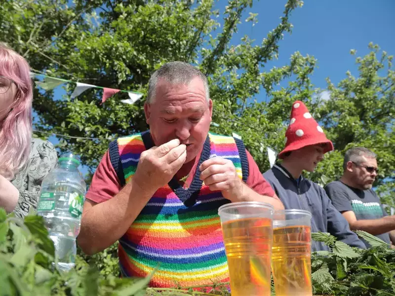 World Nettle Eating Championships saw record numbers chow down the stinging plants