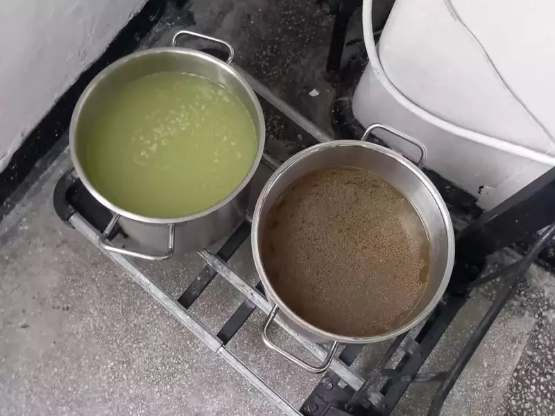 whatsappimage2024-08-01at111041