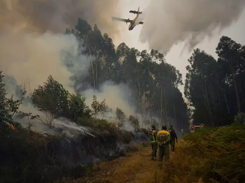 Active forest fire in Crecente (Pontevedra) forcing the evacuation of more than 20 neighbors