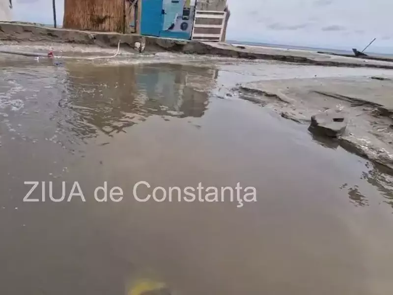 cod-rosu-ploaie-constanta