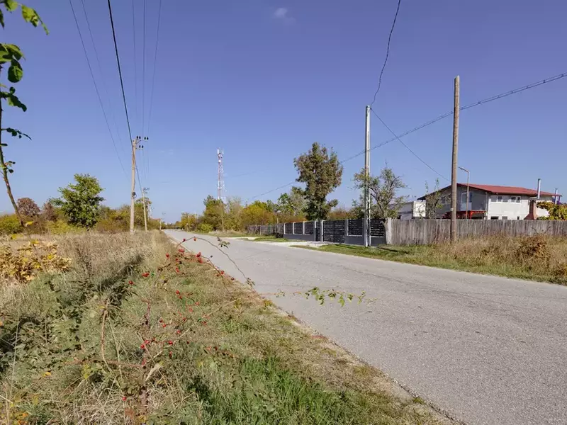 fabrica-prelucrare-lana-p-19