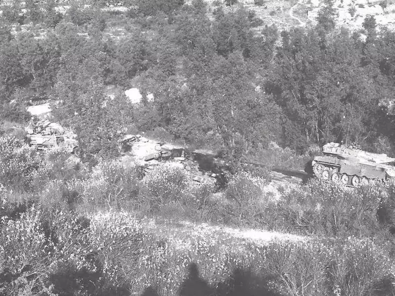 Trupe israel 1982 (1)