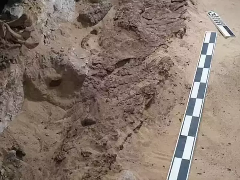 descoperire arheologica egipt5