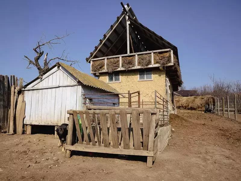 cai-omorati-vaslui-s-15