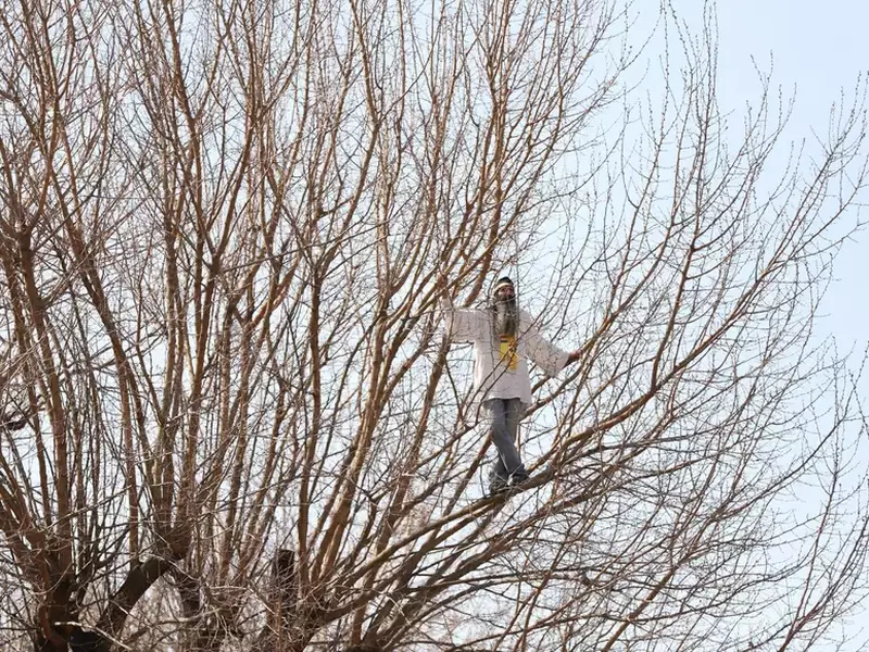 stegarul-dac-arestul-central-politie- (1)