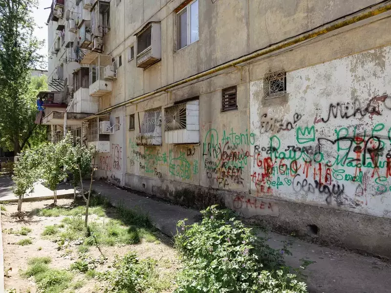 18-mai-alegeri-nicusor-p-12