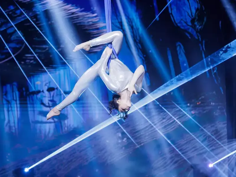 Damaris Lupu – Romanii au talent (1) (1)