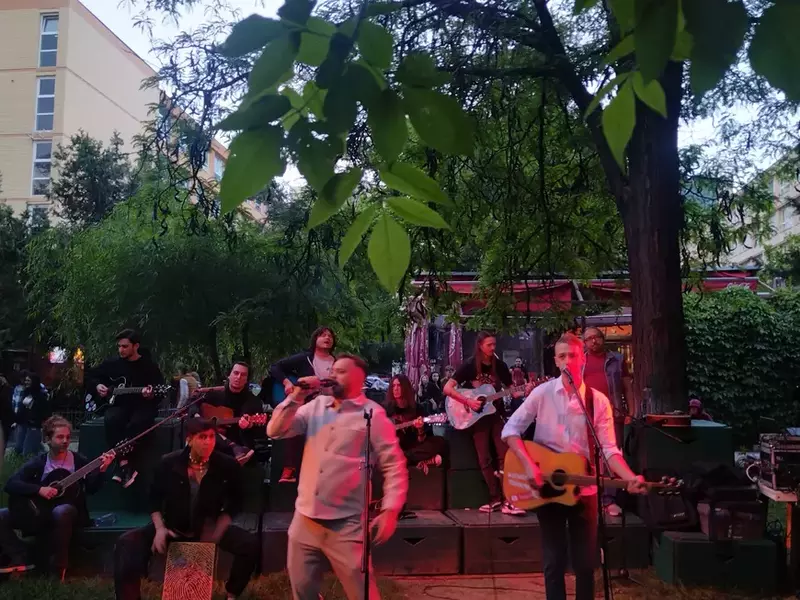 Gasca Chitara Grozavesti si Proiectul Flori de Mai_2