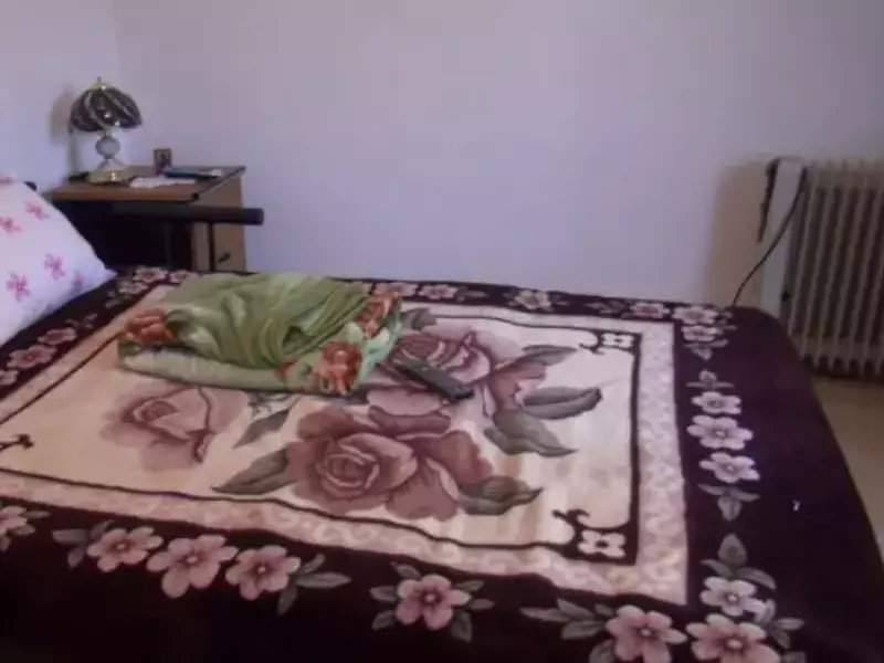 imagini cu casa în care a copilărit Gina Pistol (7)