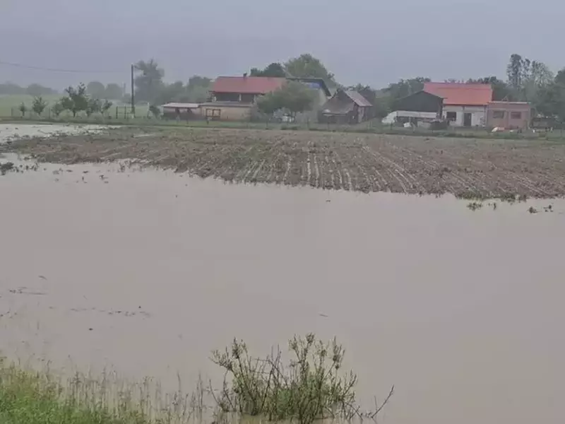 inundatii brasov3