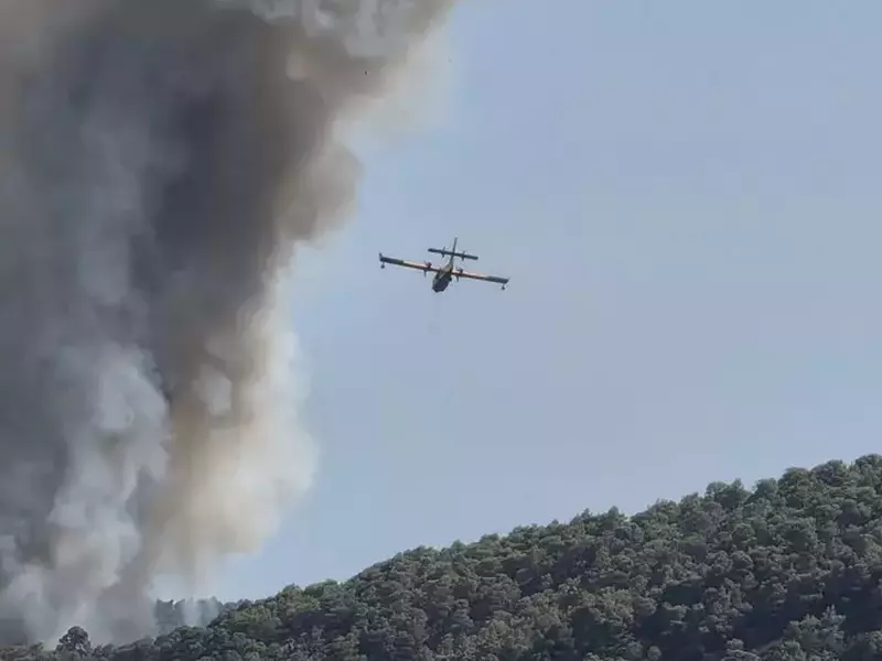 Elicopter surprins în timp ce se apropie de fumul cauzat de un incendiu în Halkidiki, pe 2 iulie 2025.