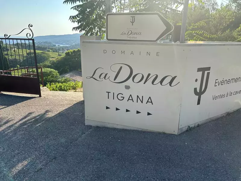 LA DONA TIGANA