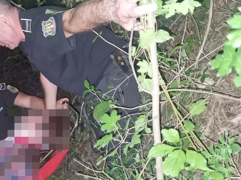 Locatarii deranjați din Brașov au sunat la 112, crezând că este un scandal. Ce au descoperit polițiștii în pădure (1)