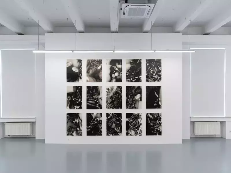 Imagini de la expoziția "Tigruletigrule"