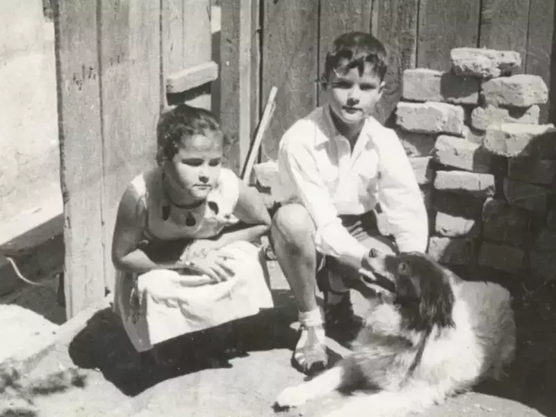 sora adrian nastase dana barb a murit 2