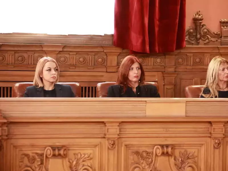 Adriana Pencea, vicepreședinte, ultima din dreapta(1)