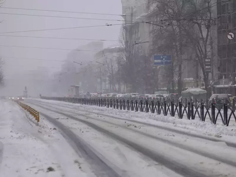 c58265c3-b9bd-4eb2-8fdd-b2f1d96de02f