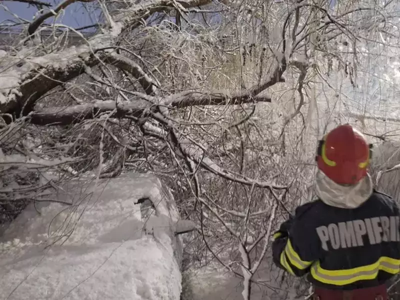 WhatsApp Image 2026-02-18 at 09.53.14 (4)