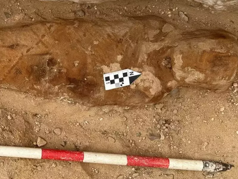 mumie romana descoperită în Egipt, lângî care se află un baston lung, colorat în dungi roșii și albe