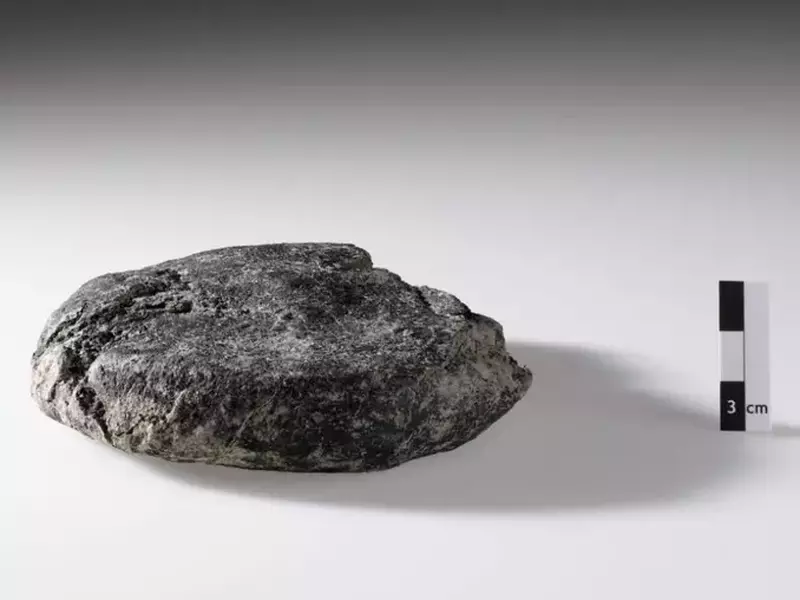 pâinea veche de 2.000 de ani, găsită pe un șantier din Elveția