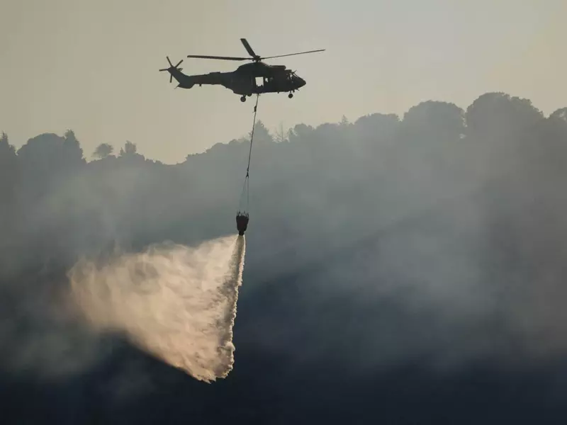 Efforts continue to combat forest fires in Izmir