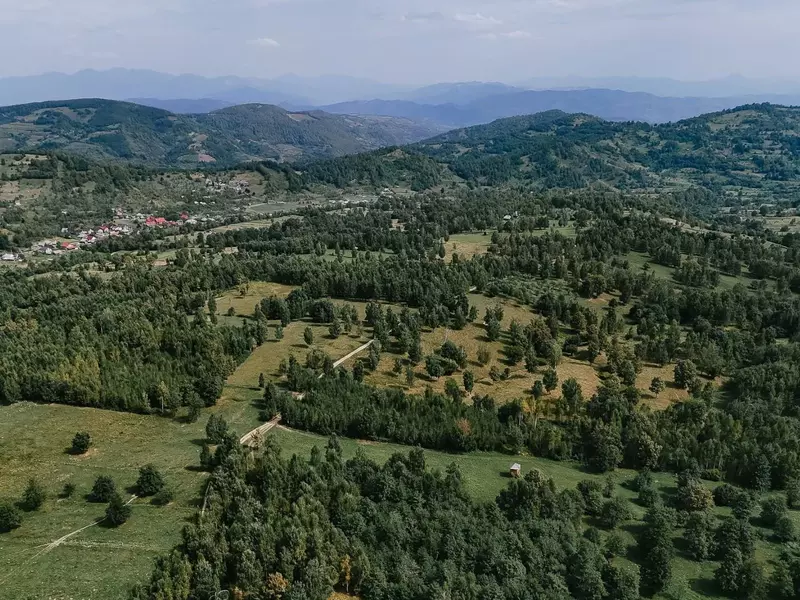 domeniu maramures romania 94 hectare botiza (1)