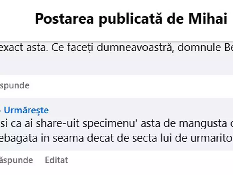 Ilona Brezoianu mesaj pentru Dan Negru