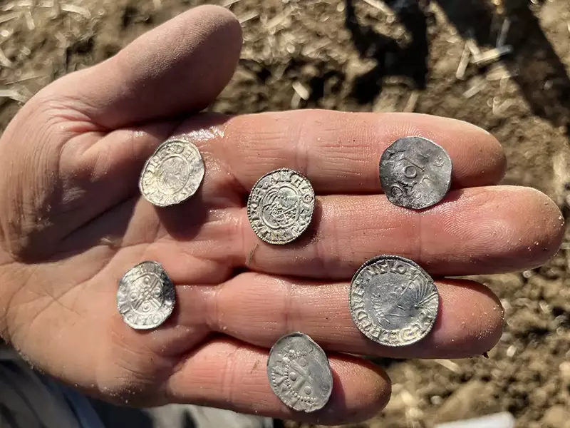 O palmă pe care sunt prezentate mai multe monede mici, vikinge