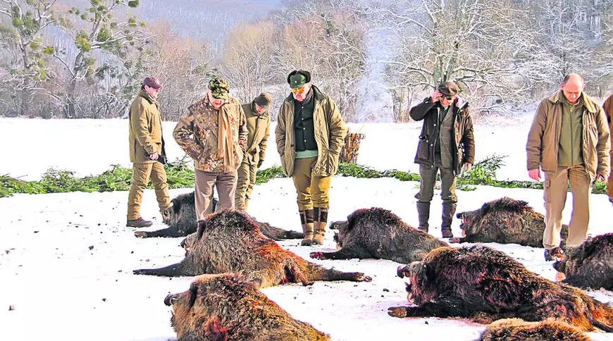 Prințul Dimitrie Sturdza îl apără pe Ion Țiriac în polemica vânătorilor de mistreți: „Ar trebui să primească o medalie, nu critici”