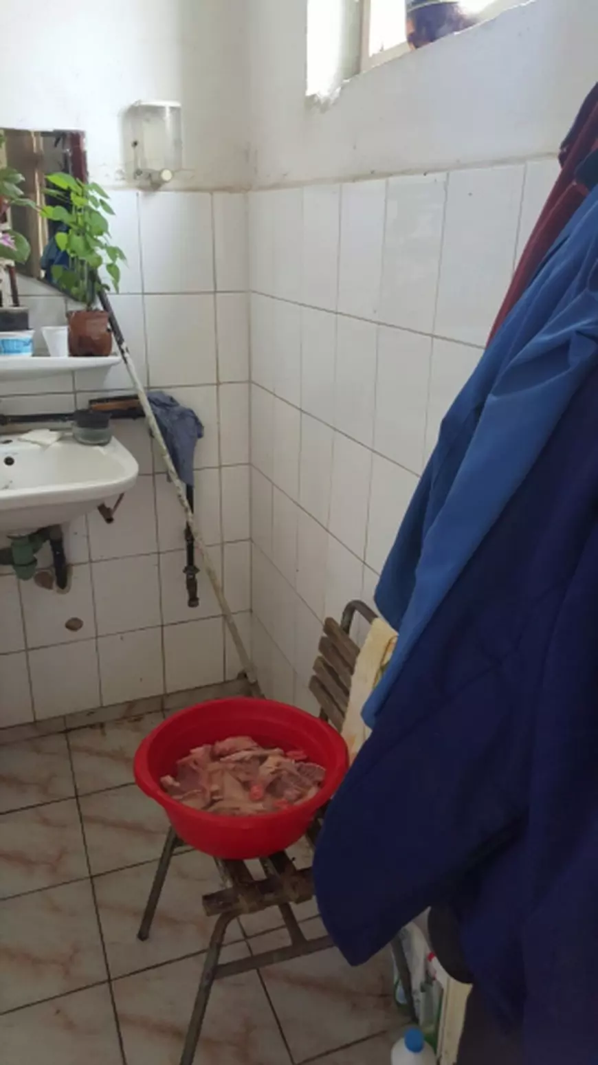 carne gara fagaras (2)