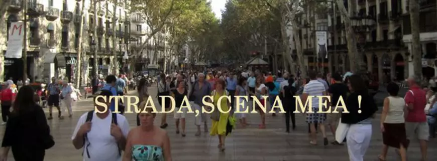 11053356_1603771956545622_4051001235656792299_o