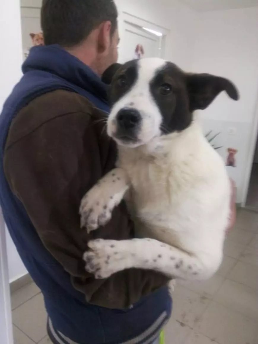 12718172_1236847126330123_3621122775293867760_n