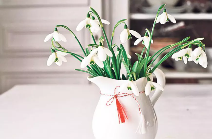 14-shutterstock_256366294