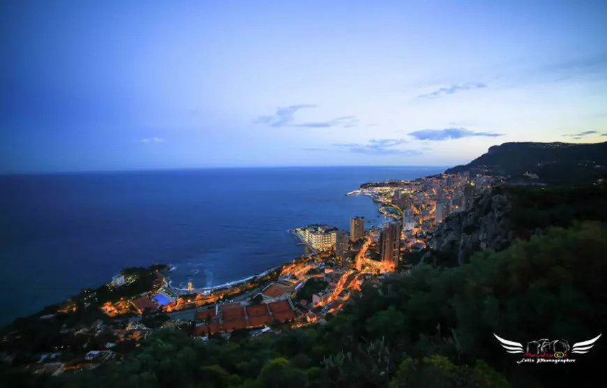 felix fagarasan (14)