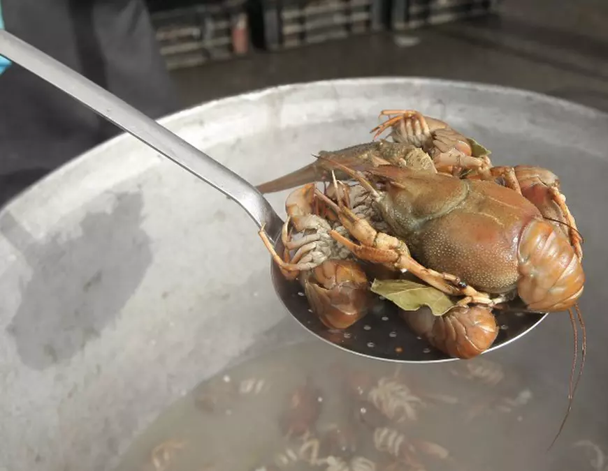 Carnea de rac, un alt aliment recunoscut drept afrodisiac