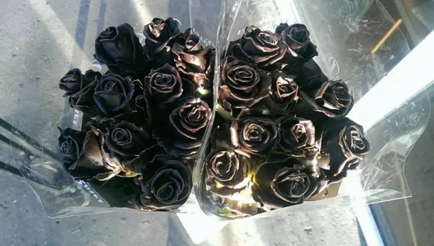 trandafir ciocolata1