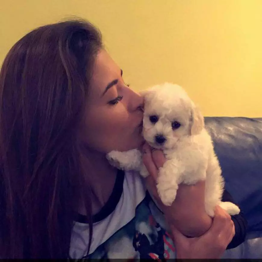 12805663_966238753453633_7091082222136700447_n