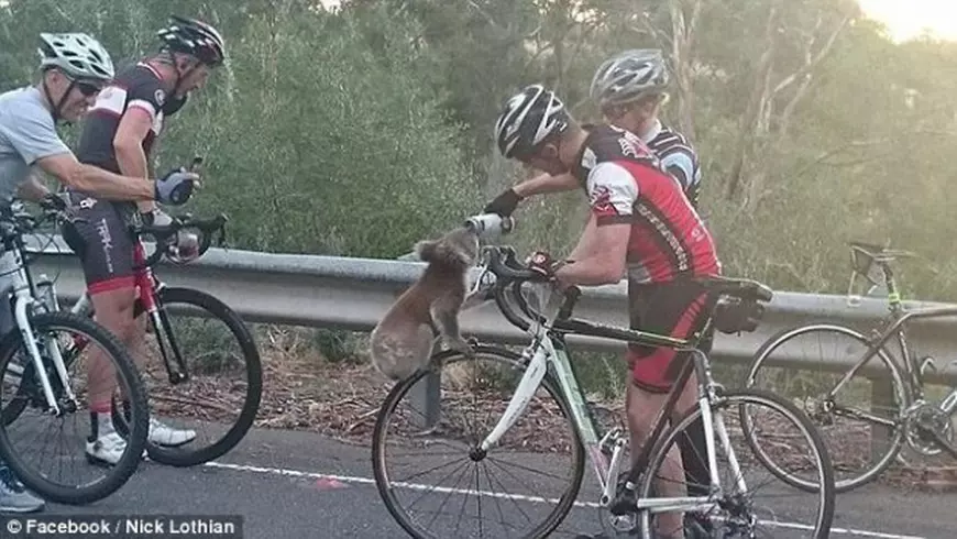 31C7A1FC00000578-3473773-image-a-4_1456958615833